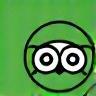 TripAdvisor icon